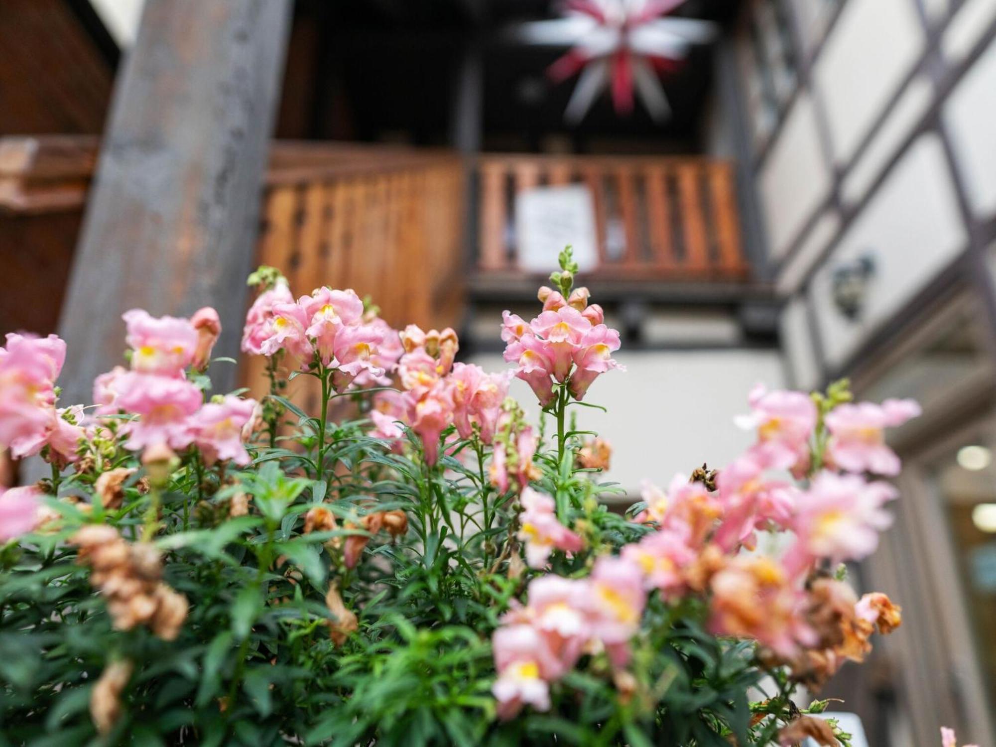 Apartment Attractive Apartment In Quedlinburg *